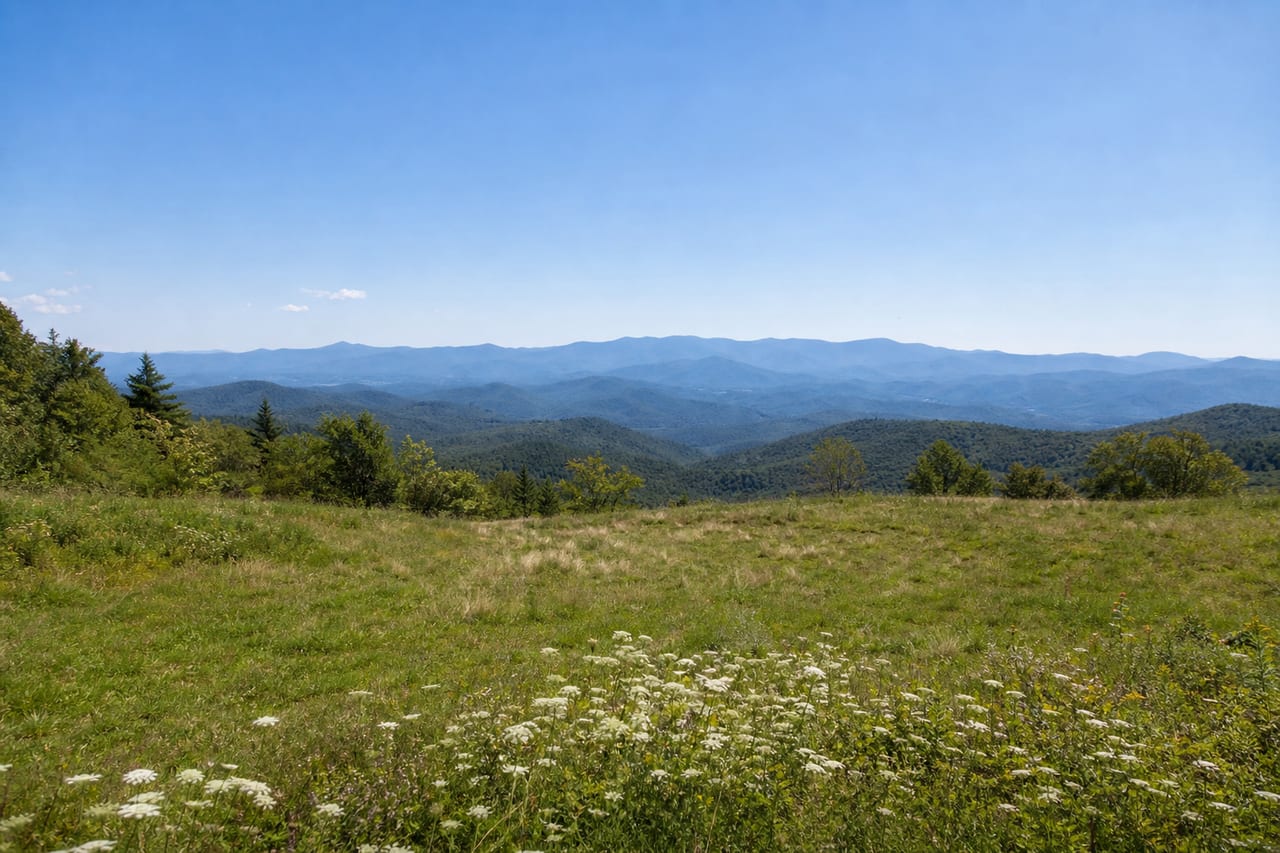 The cleared building site with the ridges beyond