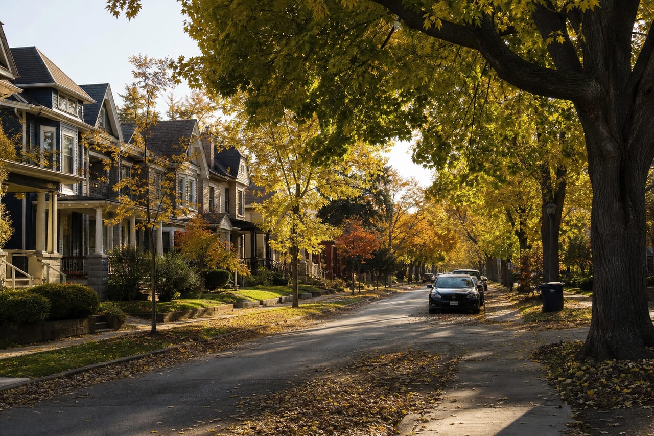 Tree-lined residential street